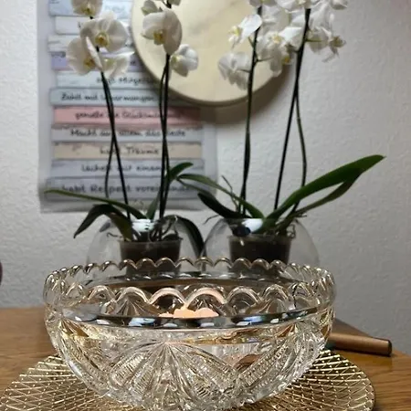 Reikistudio Venedig Apartment *