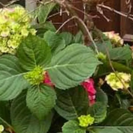 Lägenhet Reikistudio Venedig *