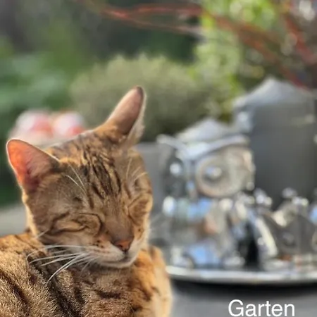 Reikistudio Venedig *