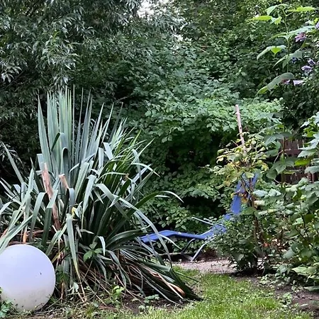 Reikistudio Venedig * Quedlinburg