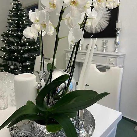 Reikistudio Venedig Apartment Quedlinburg