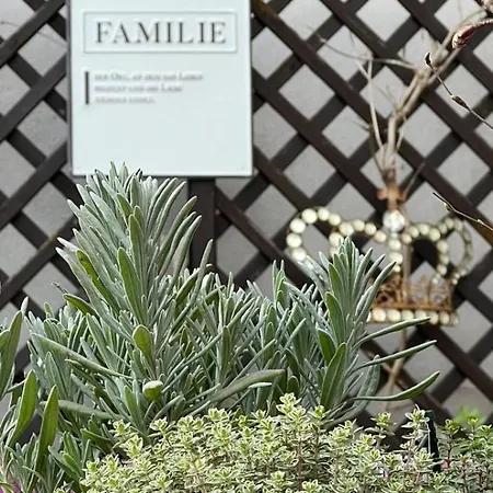 Reikistudio Venedig Quedlinburg