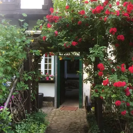 Apartment 1 Am Damm Quedlinburg