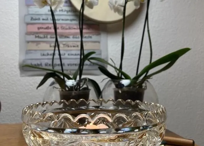 Reikistudio Venedig Apartamento *