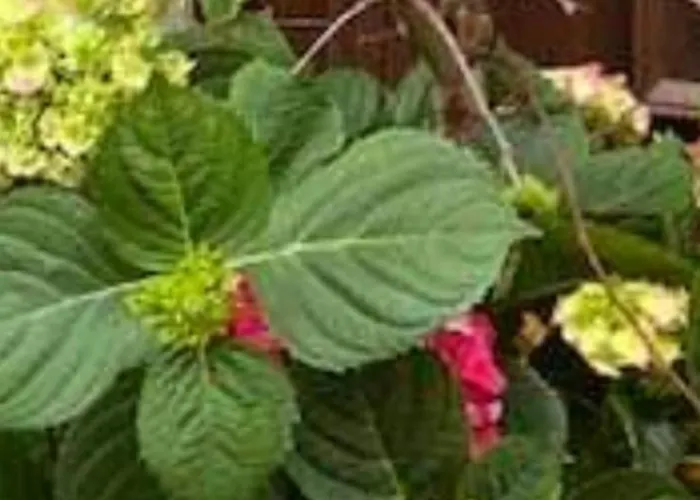 Apartamento Reikistudio Venedig *