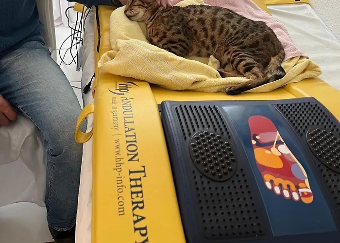 Reikistudio Venedig Quedlinburg