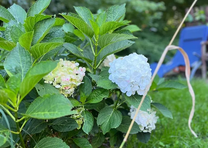 Reikistudio Venedig Apartamento