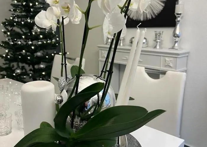 Reikistudio Venedig Apartamento Quedlinburg