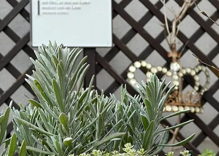 Reikistudio Venedig Quedlinburg